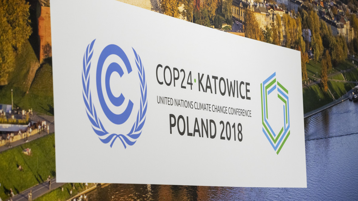 COP24